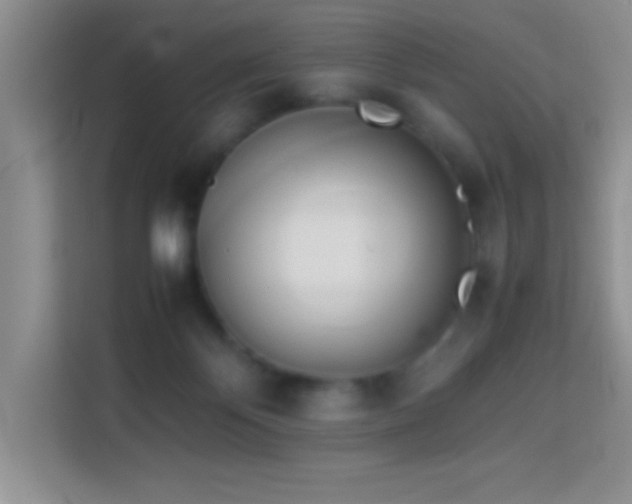 X0000114150124200910081340
