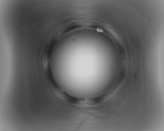 X0000114150125200910081340