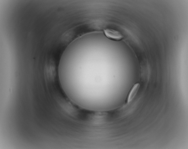 X0000114150128200910081340