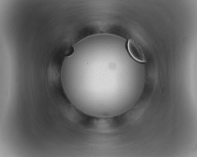 X0000114150129200910081340