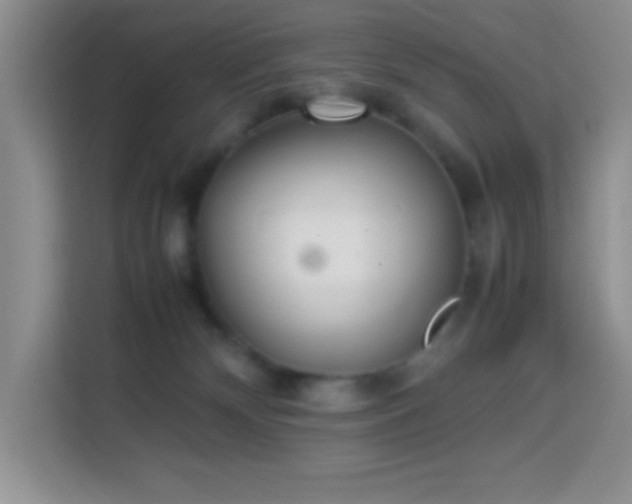 X0000114150132200910081340
