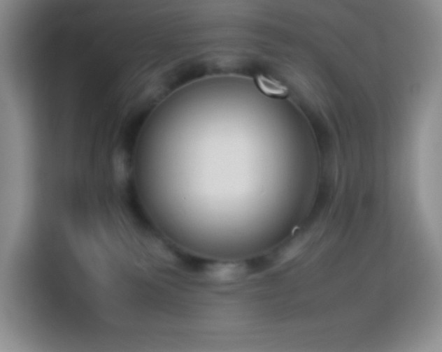 X0000114150135200910081340