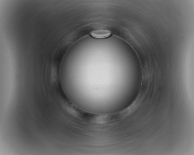 X0000114150136200910081340