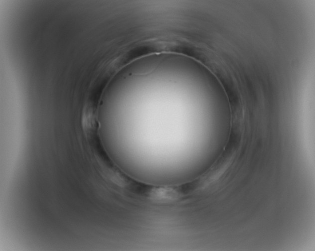 X0000114150137200910081340