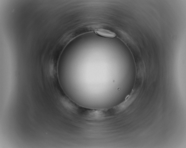 X0000114150140200910081340