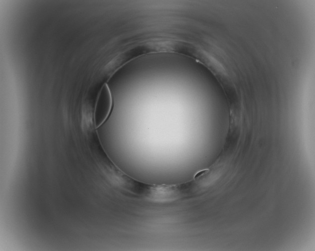 X0000114150141200910081340