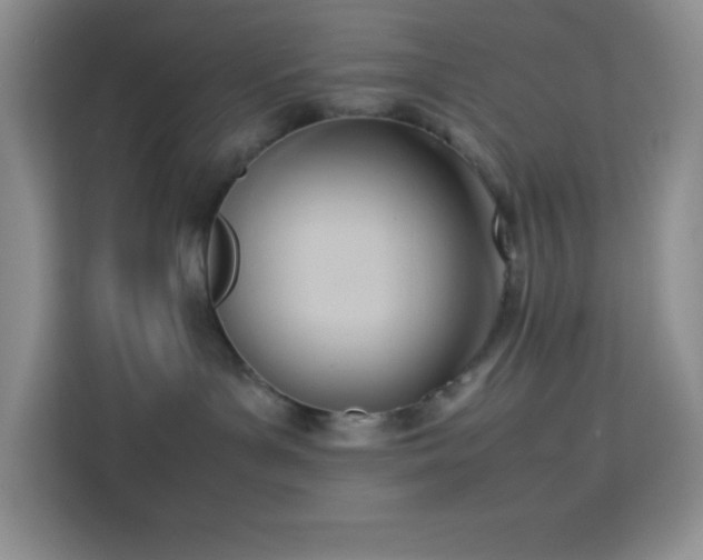 X0000114150143200910081340