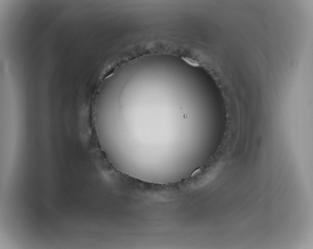 X0000114150144200910081340