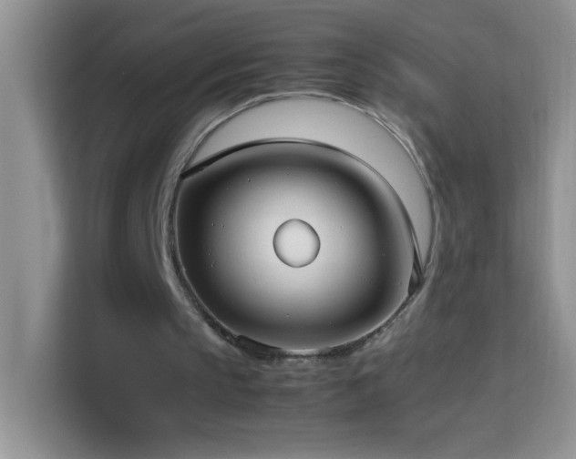 X0000114150145200910081340