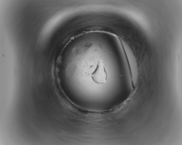X0000114150146200910081340