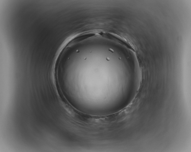 X0000114150147200910081340