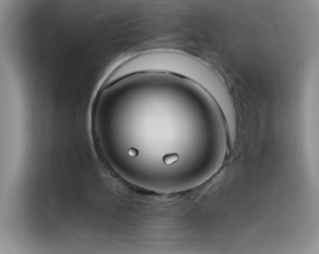 X0000114150148200910081340