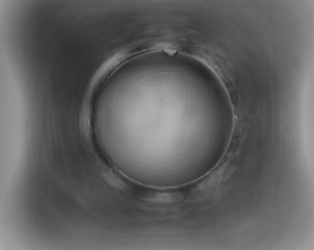 X0000114150149200910081340