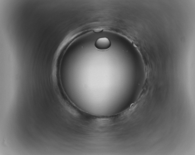 X0000114150150200910081340