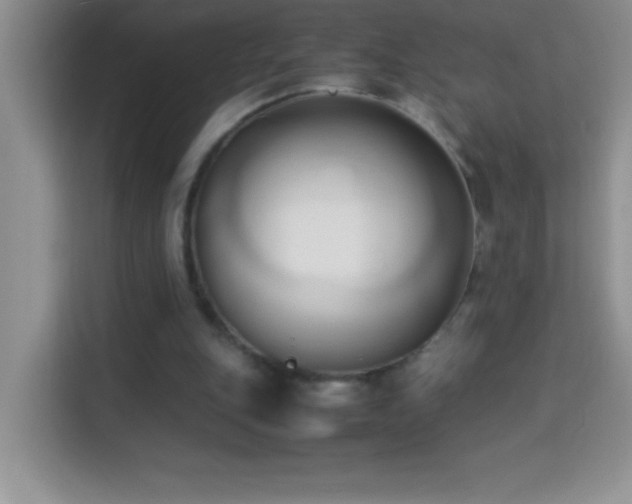 X0000114150151200910081340
