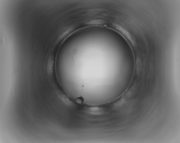 X0000114150153200910081340