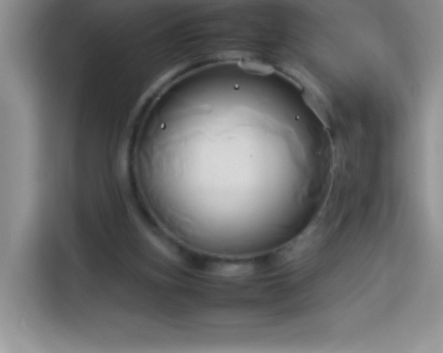 X0000114150155200910081340