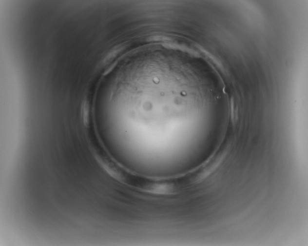 X0000114150157200910081340