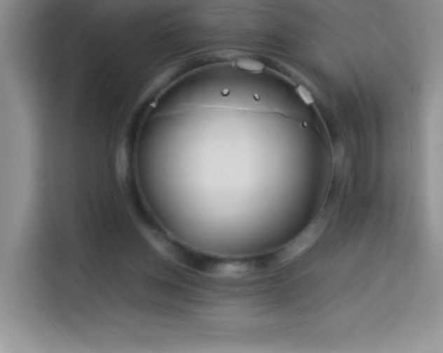 X0000114150158200910081340