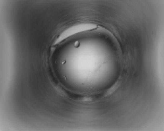X0000114150162200910081340
