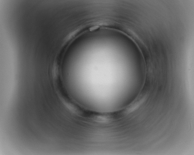 X0000114150164200910081340