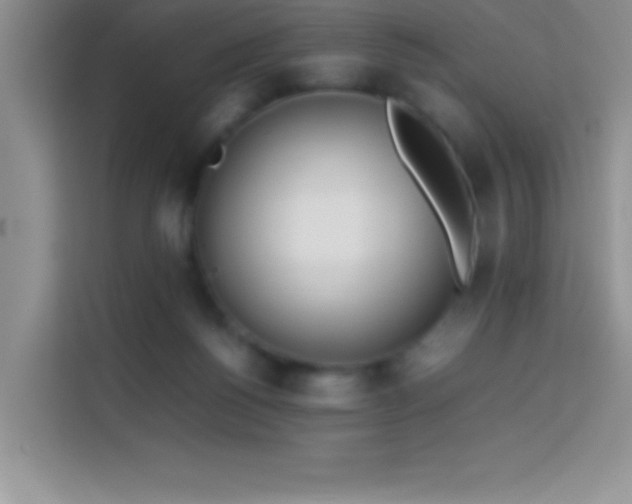X0000114150168200910081340