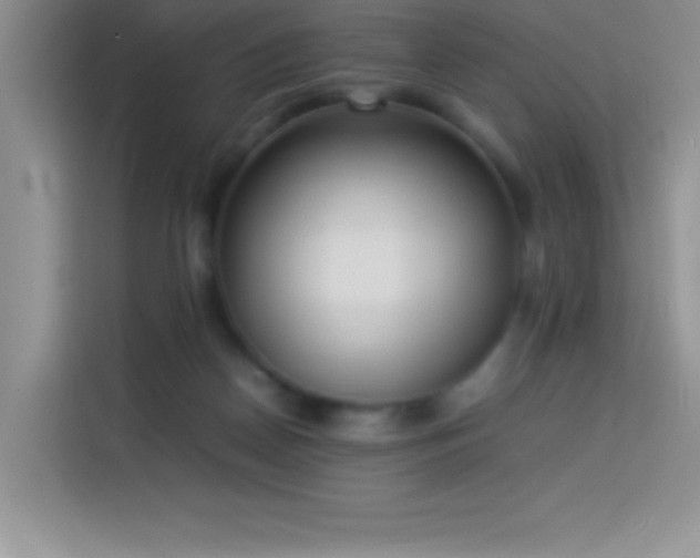 X0000114150170200910081340