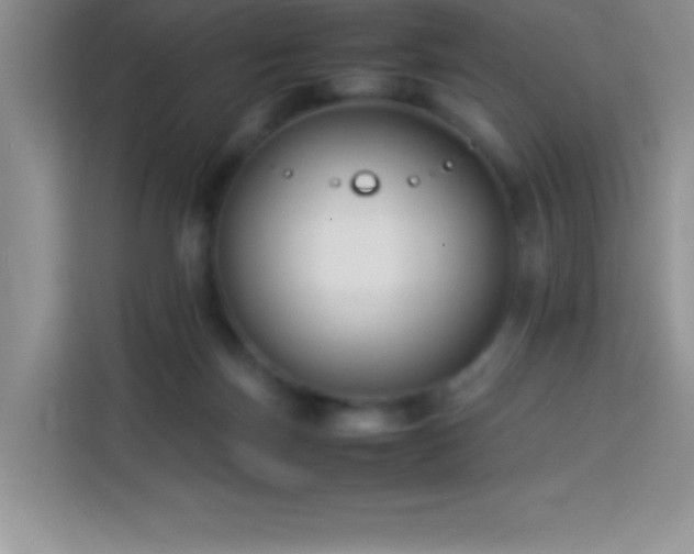 X0000114150171200910081340