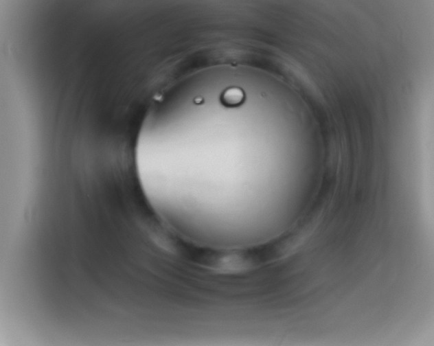 X0000114150173200910081340