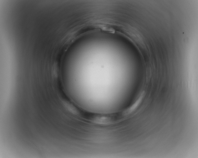 X0000114150174200910081340