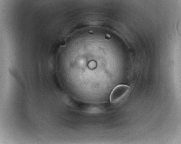 X0000114150175200910081340
