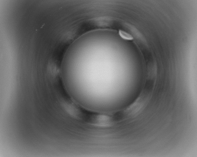 X0000114150176200910081340