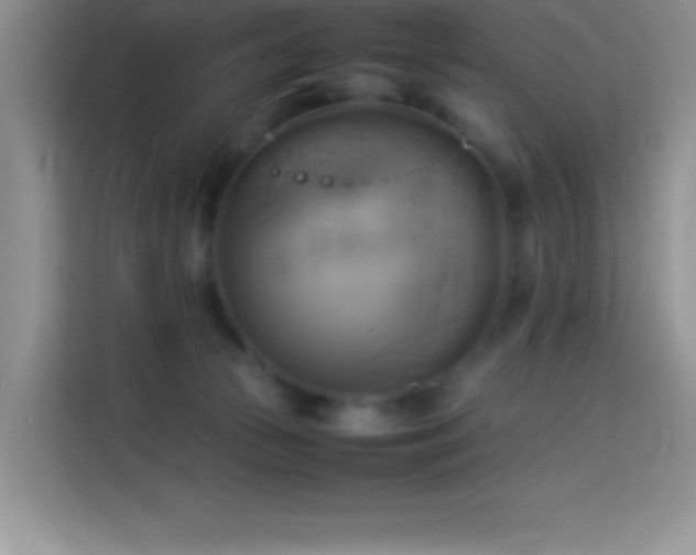 X0000114150177200910081340