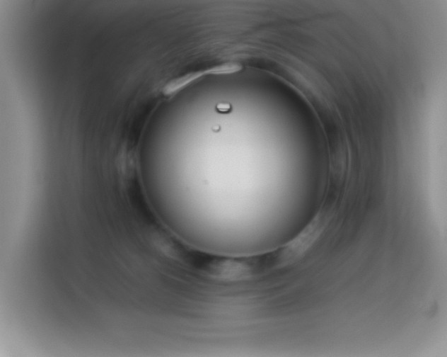 X0000114150180200910081340