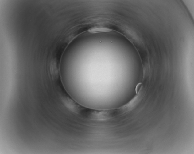 X0000114150186200910081340