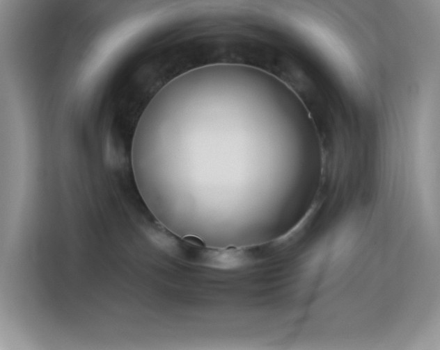 X0000114150191200910081340