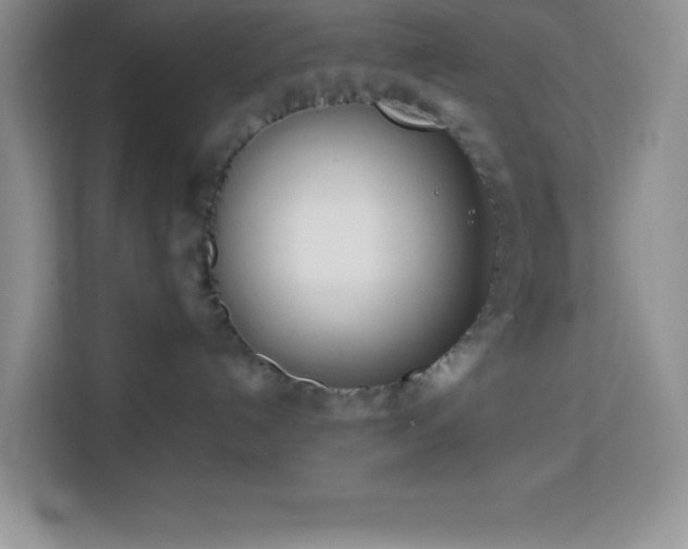 X0000114150192200910081340
