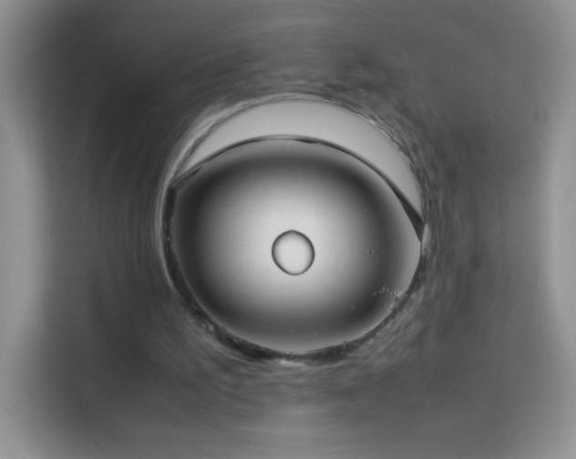 X0000114150195200910081340