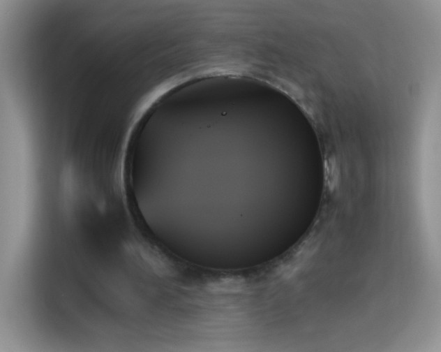 X0000114150196200910081340