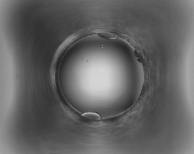 X0000114150197200910081339