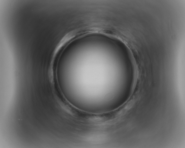 X0000114150198200910081339