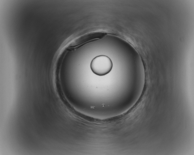 X0000114150199200910081339