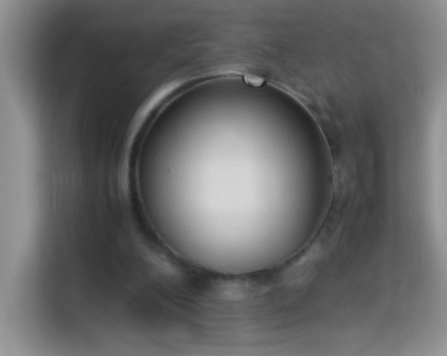 X0000114150200200910081339