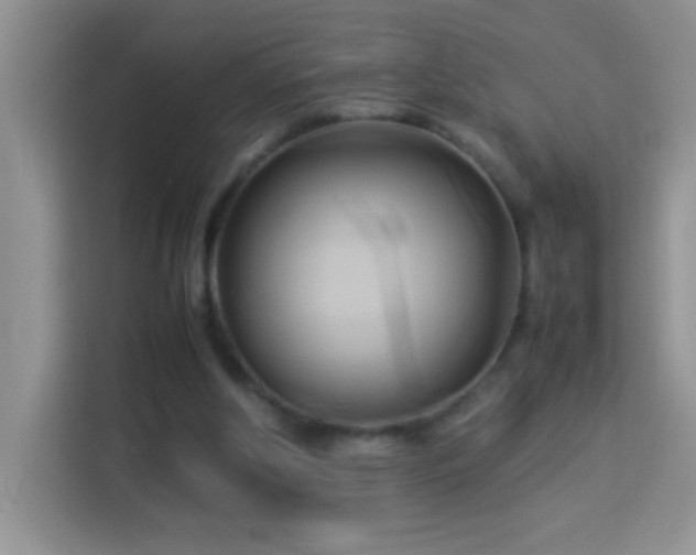 X0000114150202200910081339
