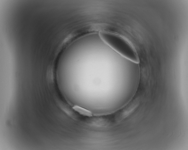 X0000114150203200910081339