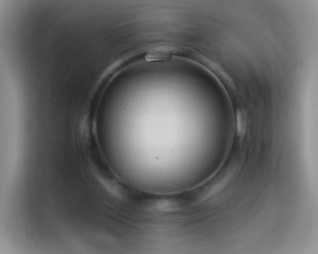 X0000114150204200910081339