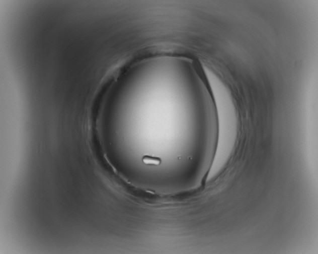 X0000114150207200910081339