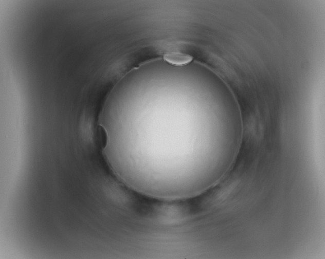 X0000114150209200910081339