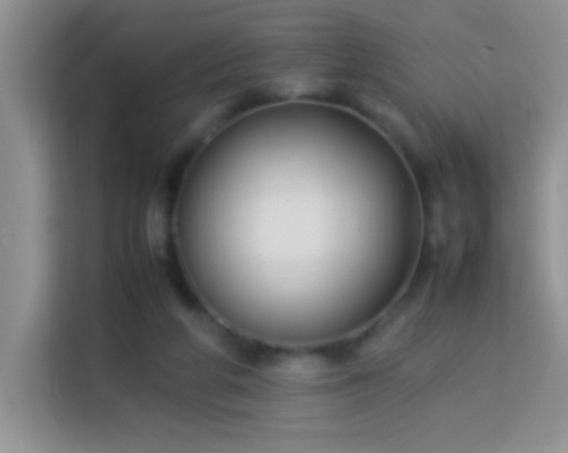 X0000114150210200910081339
