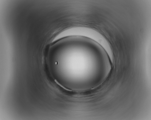 X0000114150211200910081339